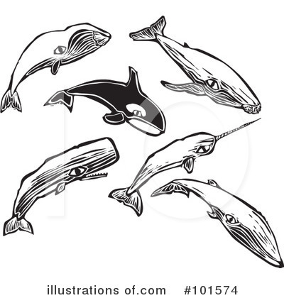 Royalty-Free (RF) Whale Clipart Illustration by xunantunich - Stock Sample #101574
