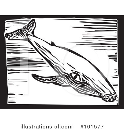 Whales Clipart #101577 by xunantunich