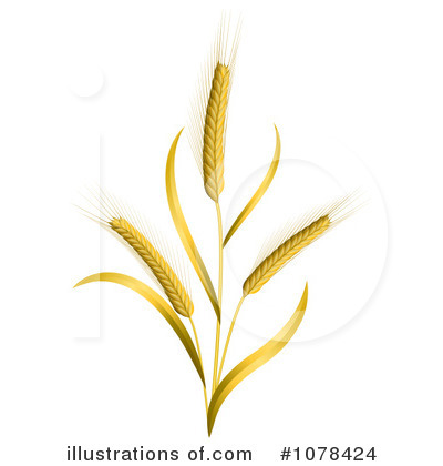 Wheat Clipart #1078424 by Oligo