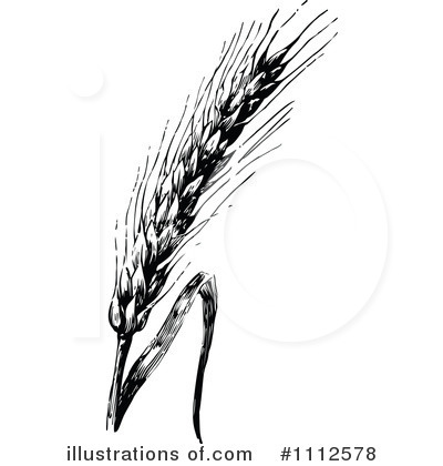 Royalty-Free (RF) Wheat Clipart Illustration by Prawny Vintage - Stock Sample #1112578