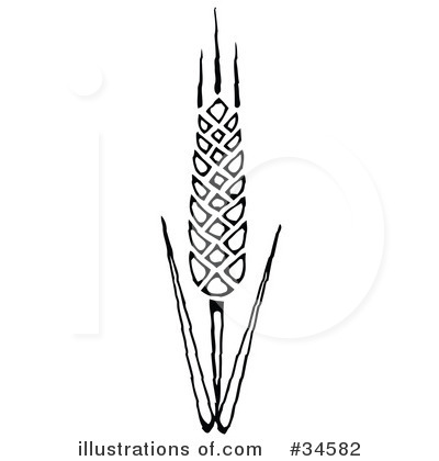 Royalty-Free (RF) Wheat Clipart Illustration by C Charley-Franzwa - Stock Sample #34582