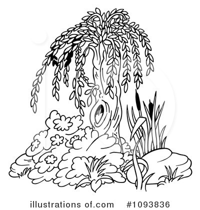 Royalty-Free (RF) Willow Tree Clipart Illustration by dero - Stock Sample #1093836