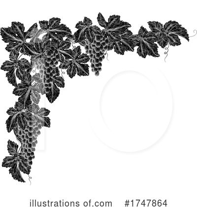 Grapevine Clipart #1747864 by AtStockIllustration