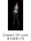 Xray Clipart #1058115 by KJ Pargeter