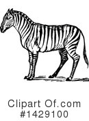 Zebra Clipart #1429100 by Prawny Vintage